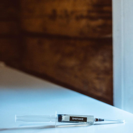 5 šitake grybų skystosios kultūros – 10 ml švirkštai | Lentinula edodes | Grybų grybiena dideliam kiekiui auginimui