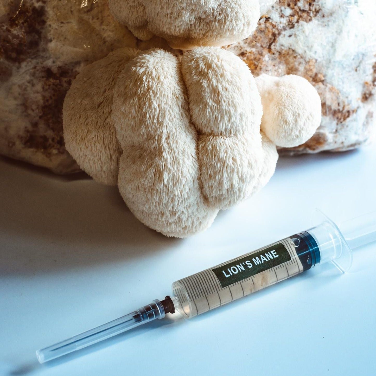 Liūto karčių skystos kultūros švirkštai 10 x 10 ml | Hericium Erinaceus | Grybų auginimo rinkinys namams Grybų mikologijos pradedantiesiems sodininkams