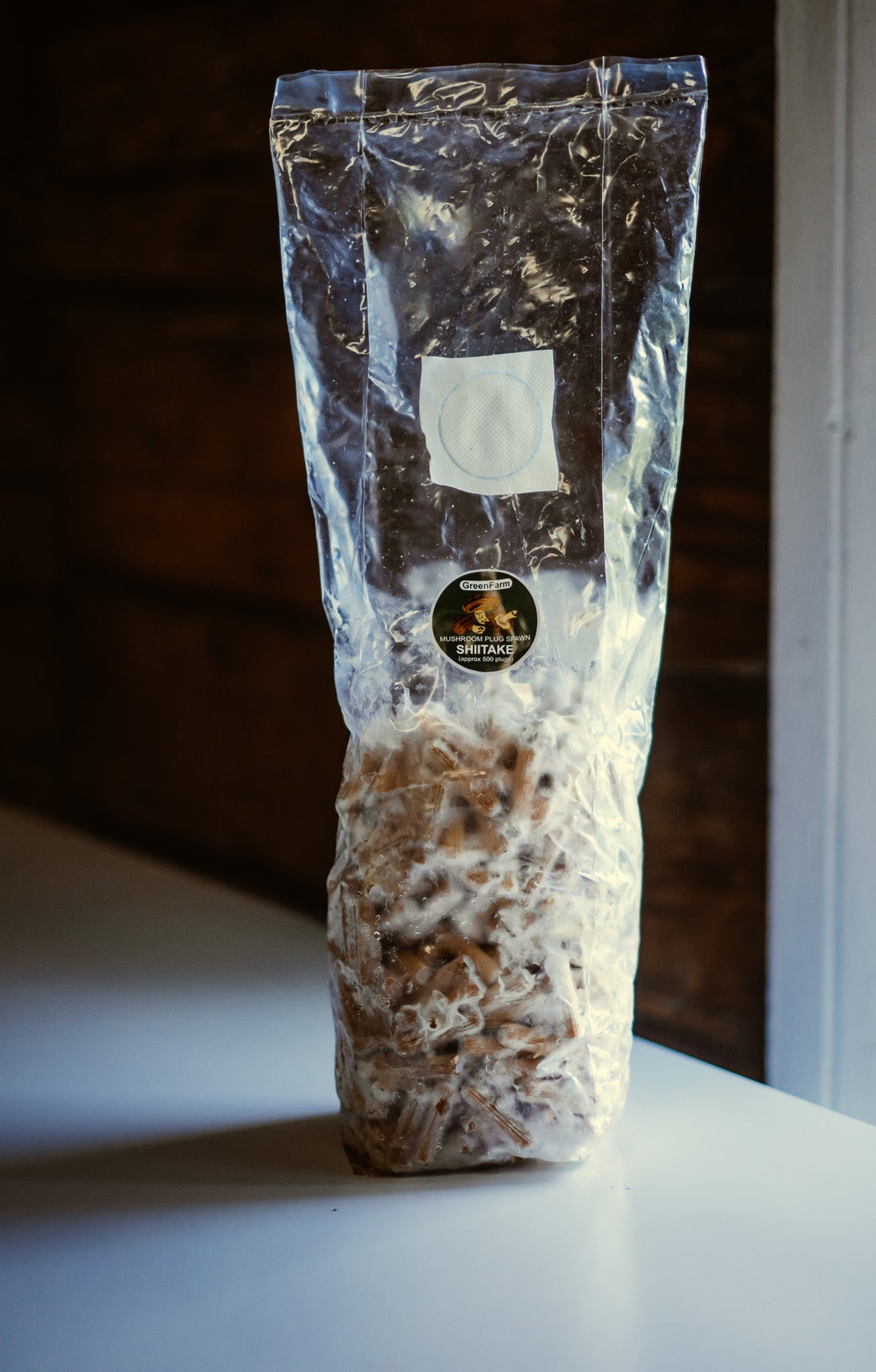 What Is Shiitake Plug Spawn?