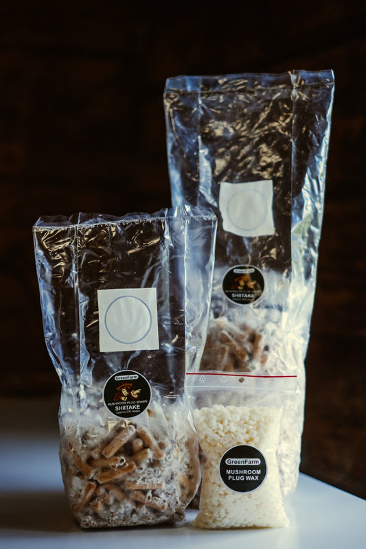 How to Choose a Reliable Mushroom Spawn Supplier