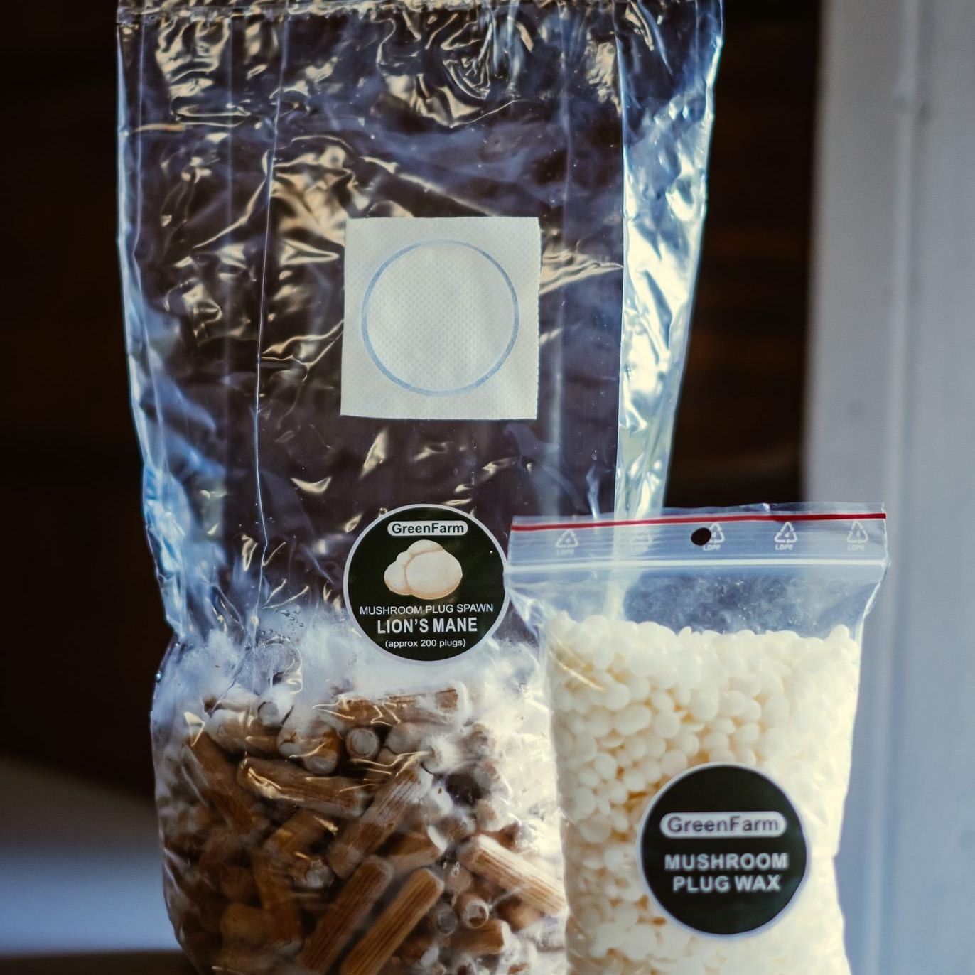 Lion's Mane 200 Mushroom Plug Spawn: Grow Your Own Hericium erinaceus