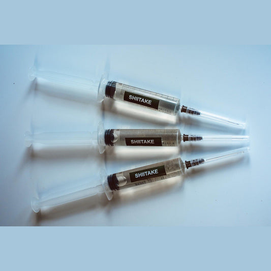 3 šitake grybų skystosios kultūros – 10 ml švirkštai | Lentinula edodes | Gurmaniškų grybų grybiena auginimui namuose