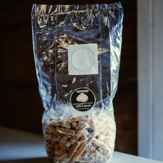 „Lion's Mane 200“ grybų ikrai: užsiauginkite savo Hericium erinaceus