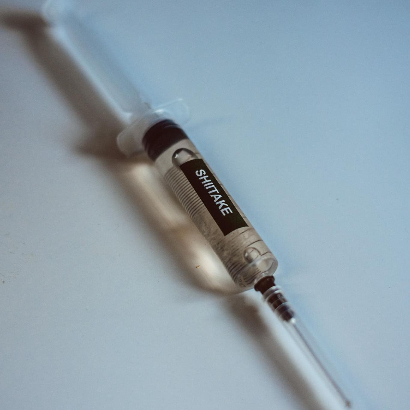 5 šitake grybų skystosios kultūros – 10 ml švirkštai | Lentinula edodes | Grybų grybiena dideliam kiekiui auginimui