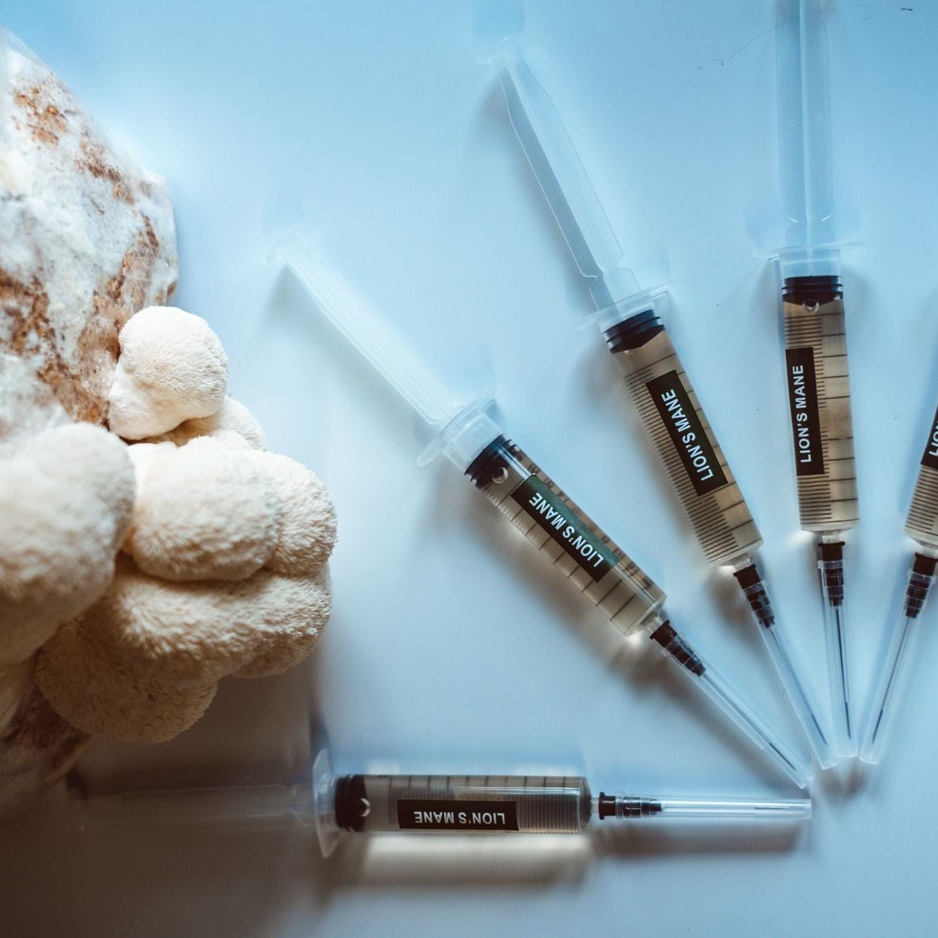 5x Lion’s Mane Liquid Culture – 10ml Syringes | Hericium erinaceus | Mushroom Mycelium for Home Growing
