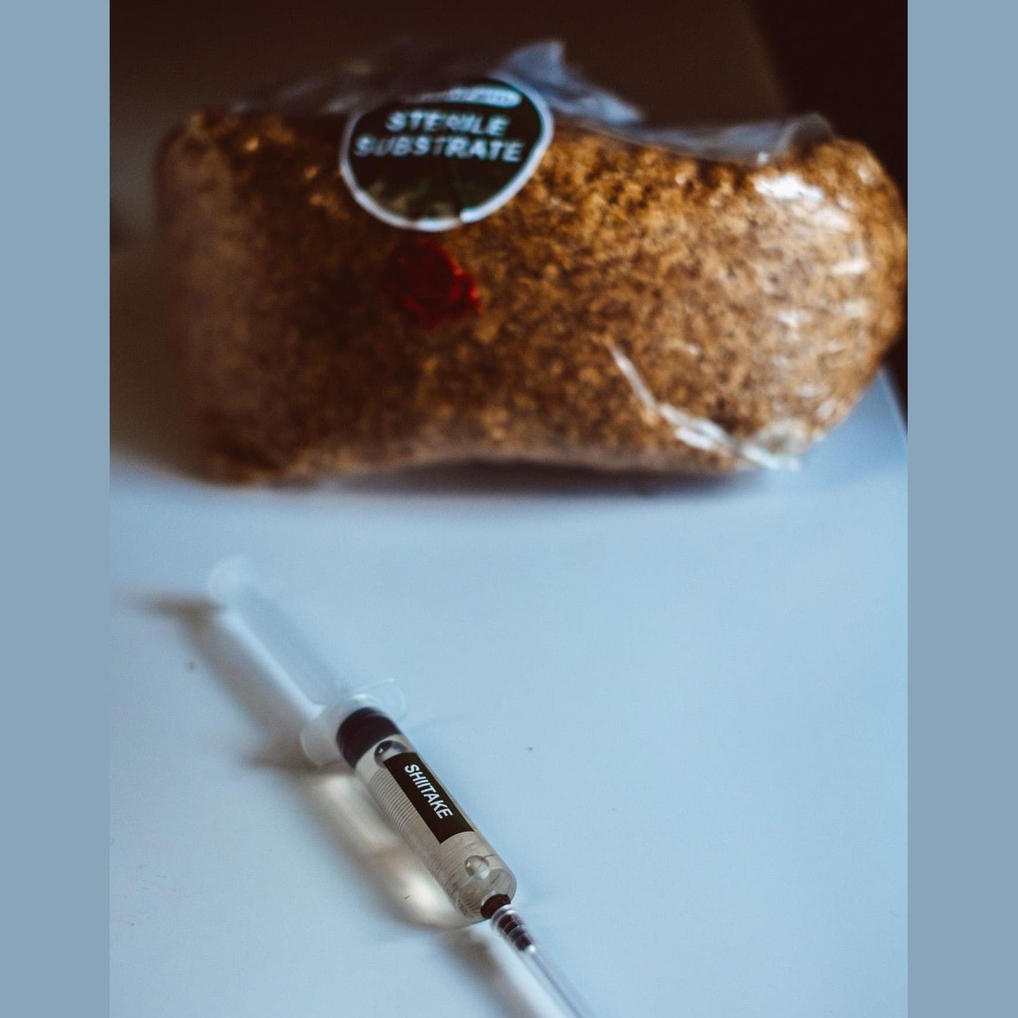 Šiitake skystos kultūros švirkštai 10 x 10 ml | Lentinula Edodes | Grybų grybiena dideliam kiekiui auginti