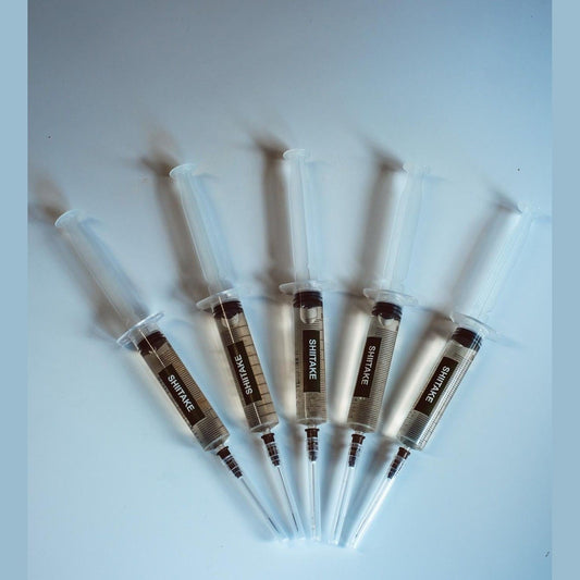 Šiitake skystos kultūros švirkštai 10 x 10 ml | Lentinula Edodes | Grybų grybiena dideliam kiekiui auginti