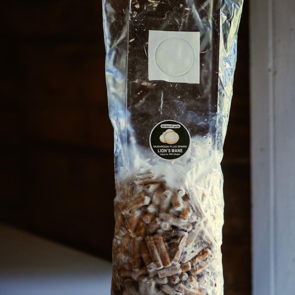 „Lion's Mane“ grybų ikrų rinkinys, 500 vnt. | Užsiaugink savo grybus | Kietmedžio rąstų skiepijimas