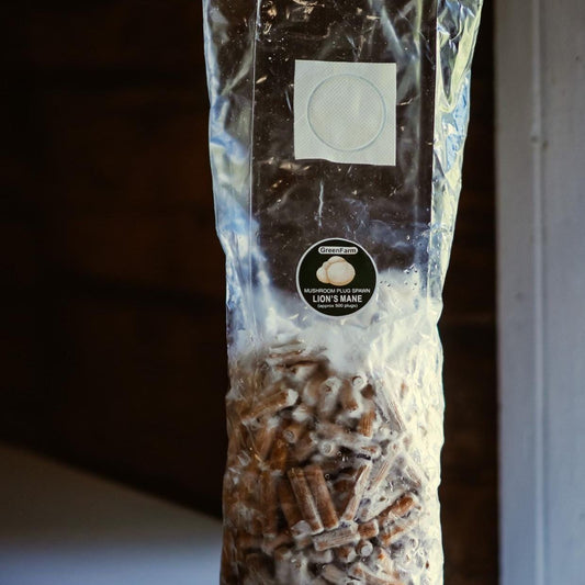 „Lion's Mane“ grybų ikrų rinkinys, 500 vnt. | Užsiaugink savo grybus | Kietmedžio rąstų skiepijimas