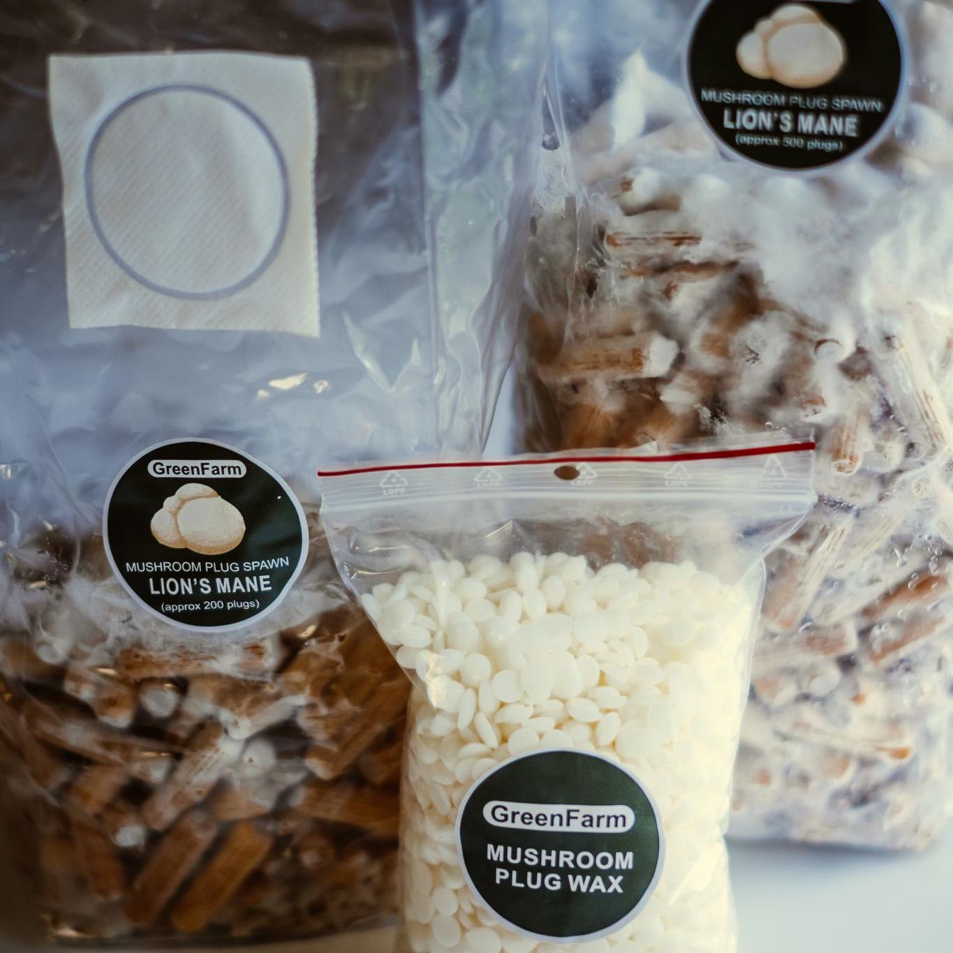 „Lion's Mane“ grybų ikrų rinkinys, 500 vnt. | Užsiaugink savo grybus | Kietmedžio rąstų skiepijimas