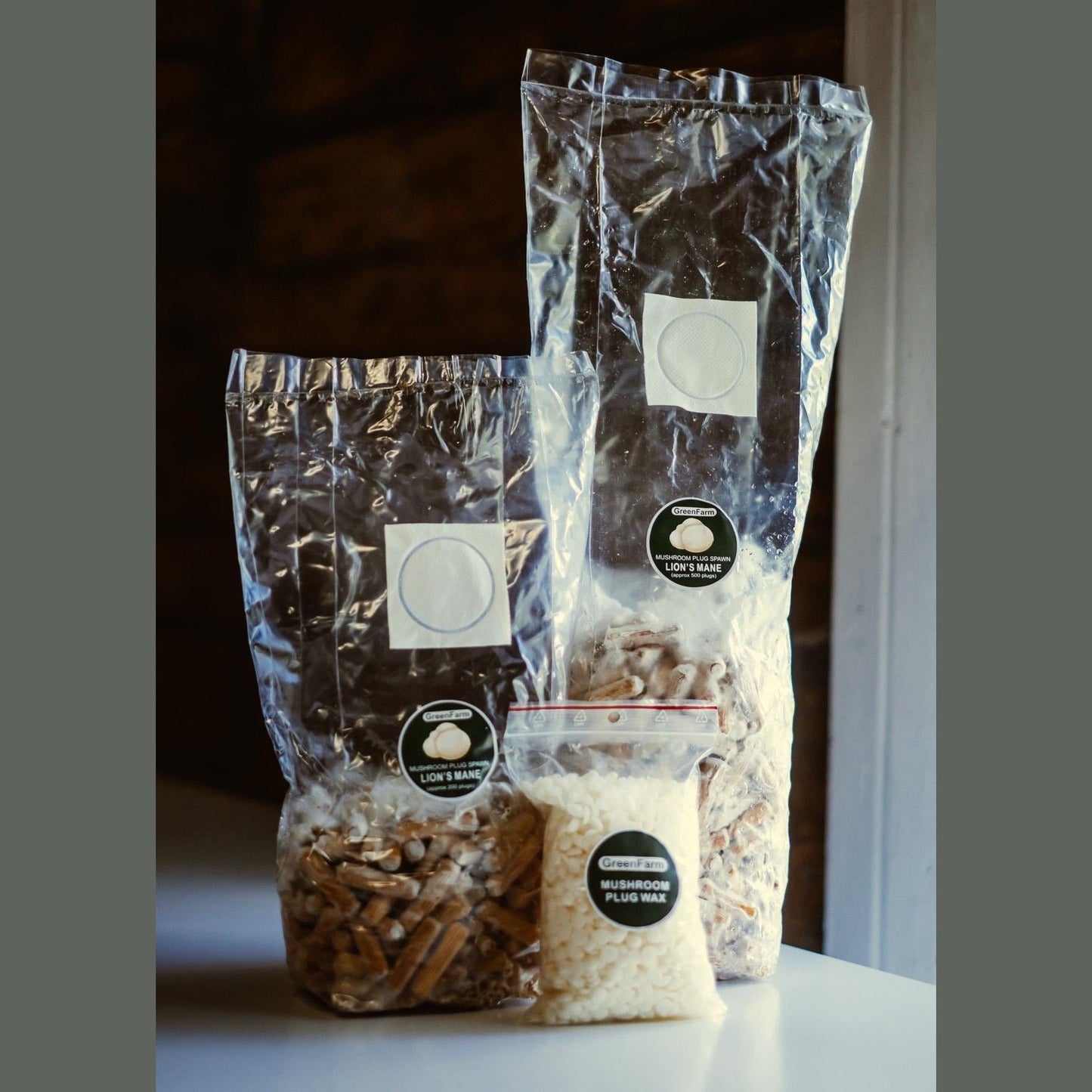 Auginkite liūto karčių grybus | Išsamus rąstų ir skystos kultūros vadovas | 41 puslapio PDF | Atsisiųsti iš karto